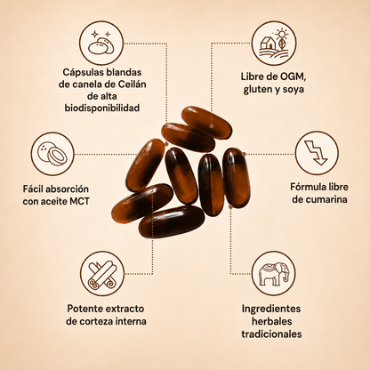 Canela de Ceilán con aceite MCT | Tu ritmo de equilibrio diario.